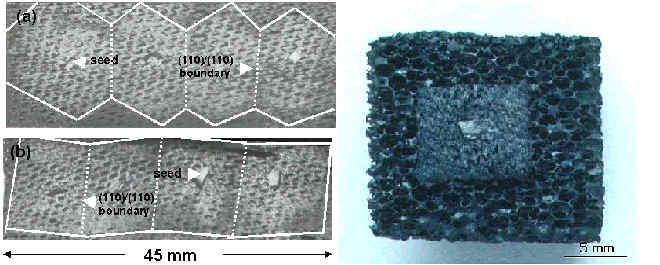 sup-foam.jpg