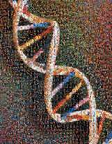 DNA