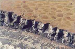 Soil