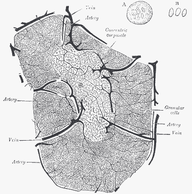 Fig2_2