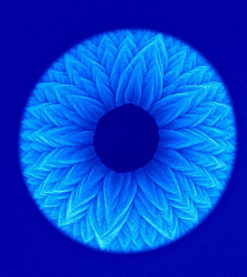 NanoflowerWelland=1