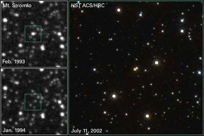 Macho star