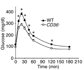 fig1.gif