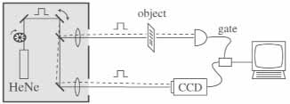 coin-im2.jpg