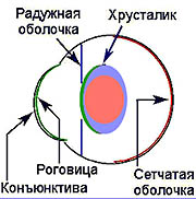 border=1