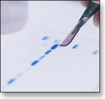 pharm.jpg