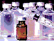pharm2.gif