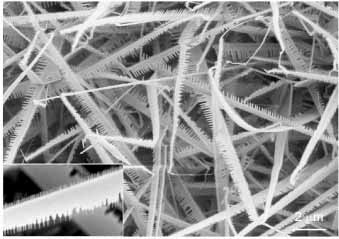 nanocomb1.jpg
