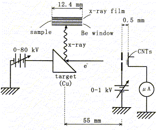 cnt-ren1